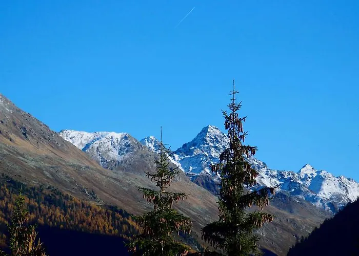 Haus Azalea 아파트 *