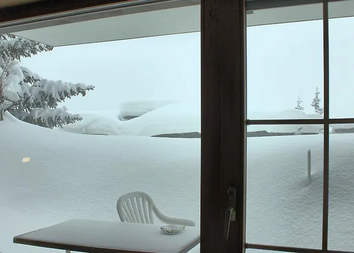 Haus Azalea 아파트